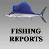 fishing reports